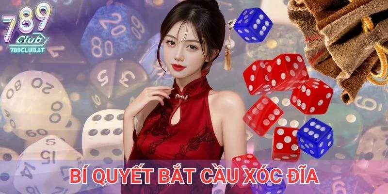 Bí quyết bắt cầu xóc đĩa