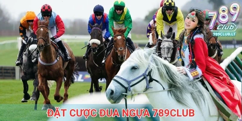 Đặt cược đua ngựa 789club cực dễ dàng