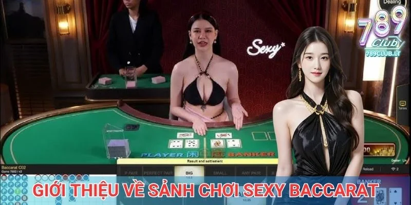Giới thiệu về sảnh chơi sexy baccarat