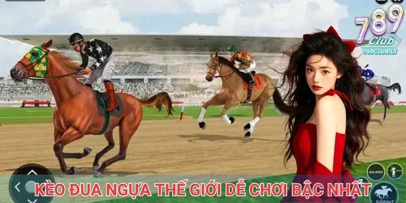 Cược đối đầu là kèo đua ngựa thế giới dễ chơi bậc nhất
