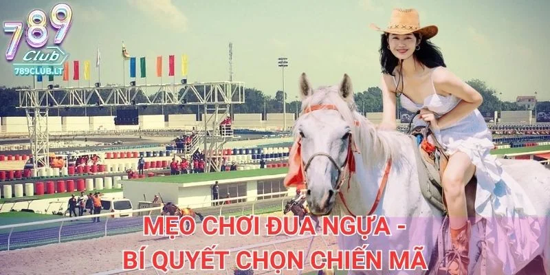 Mẹo chơi đua ngựa - Bí quyết chọn chiến mã