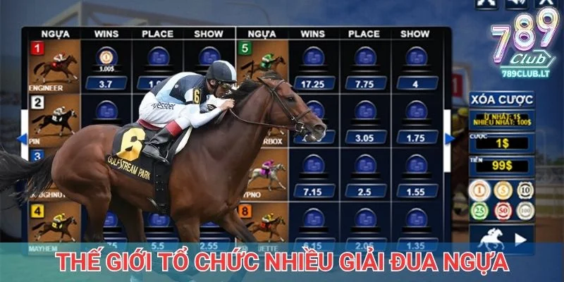 Thế giới tổ chức nhiều giải đua ngựa quy mô lớn
