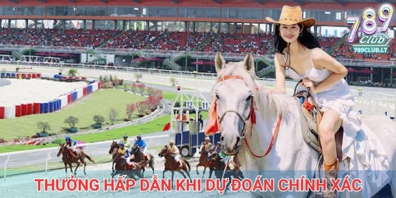 Làm giàu từ việc đặt cược cho chiến mã