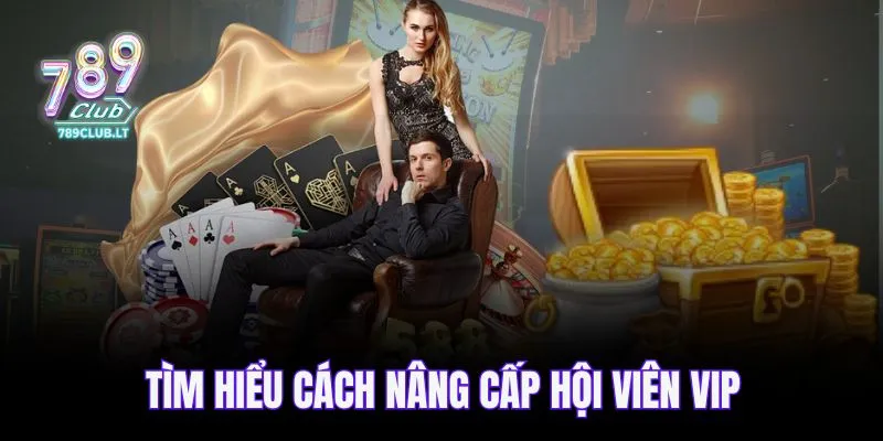 Tìm hiểu cách nâng cấp hội viên VIP