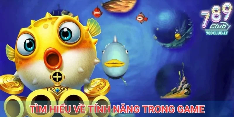 Tìm hiểu về tính năng trong game Rainbow Fish 