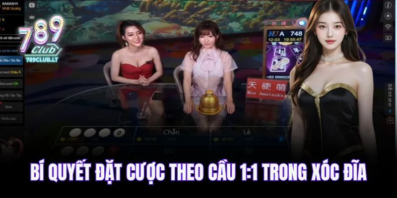 Bí quyết đặt cược theo cầu 1:1 trong xóc đĩa 